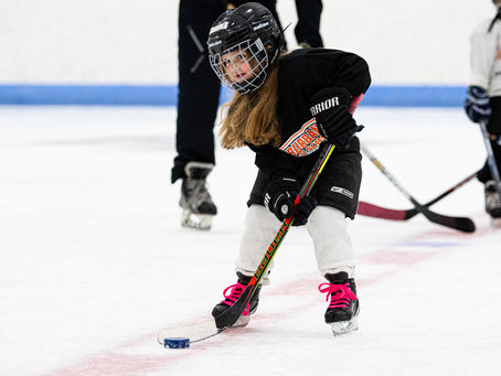 Skill Development: Stickhandling and Puck Protection