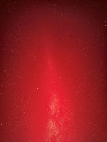 shs website bg_holiday.jpg